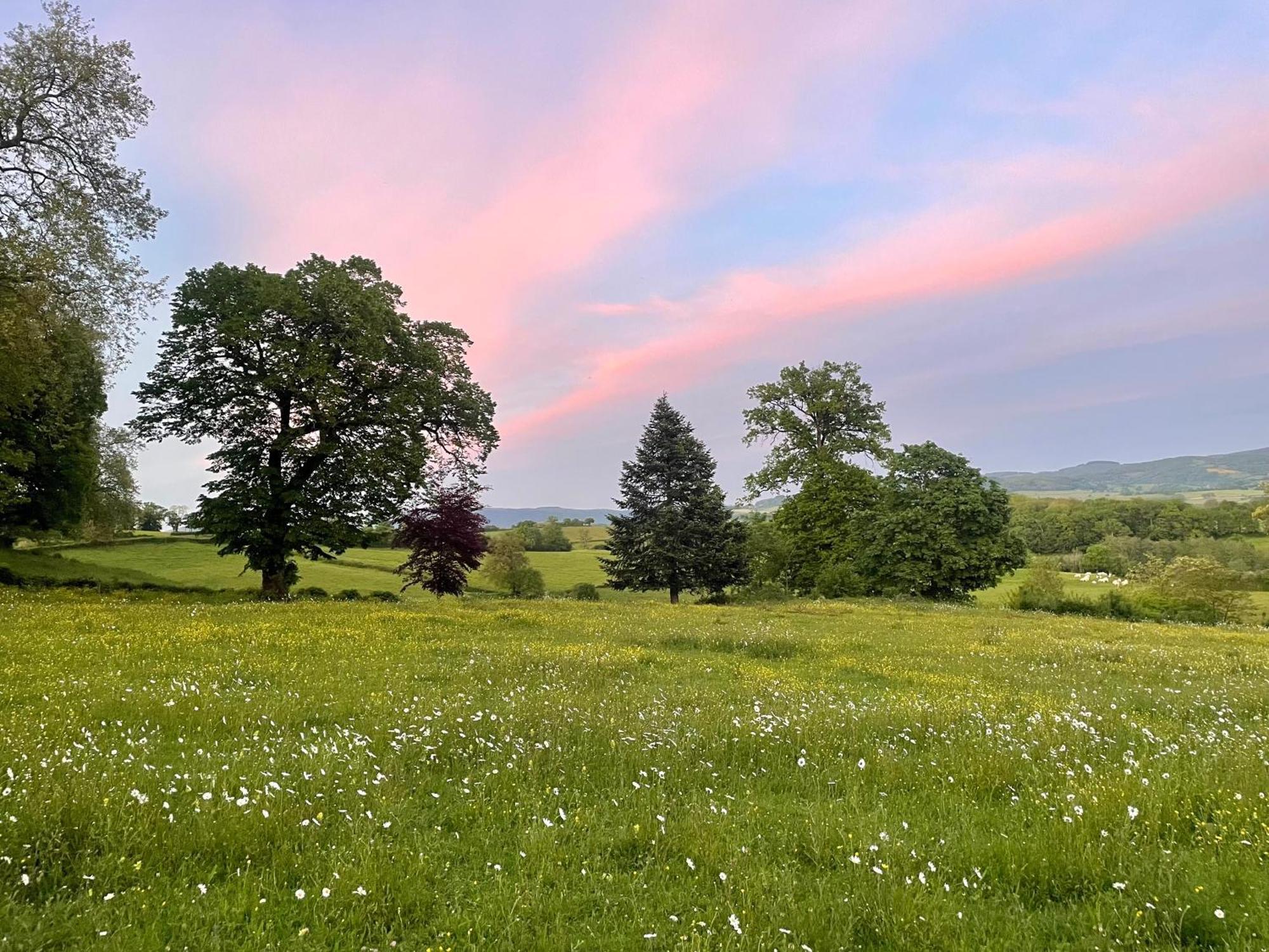 Chateau De Vaux Morvan Etang-sur-Arroux ภายนอก รูปภาพ