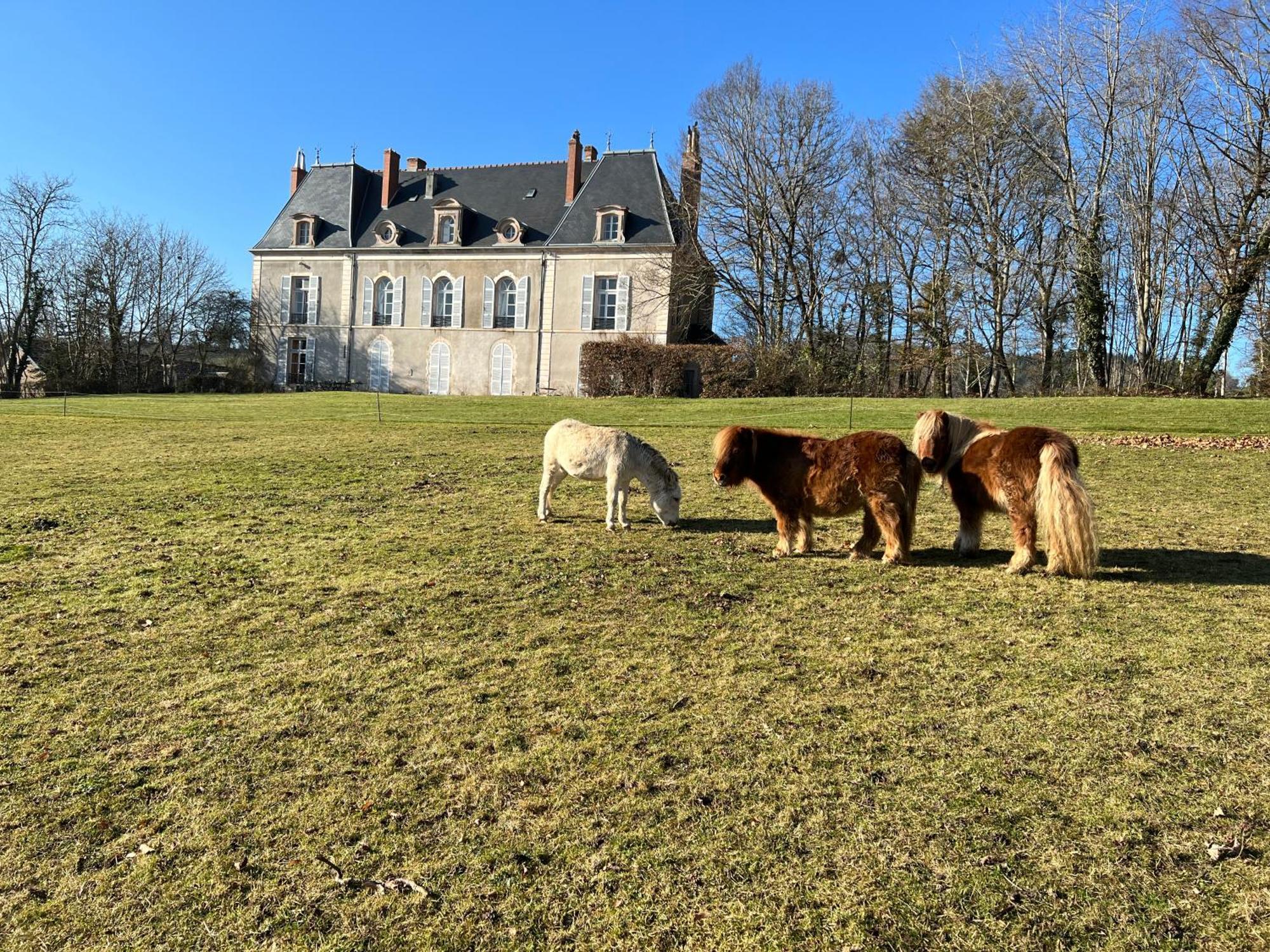 Chateau De Vaux Morvan Etang-sur-Arroux ภายนอก รูปภาพ